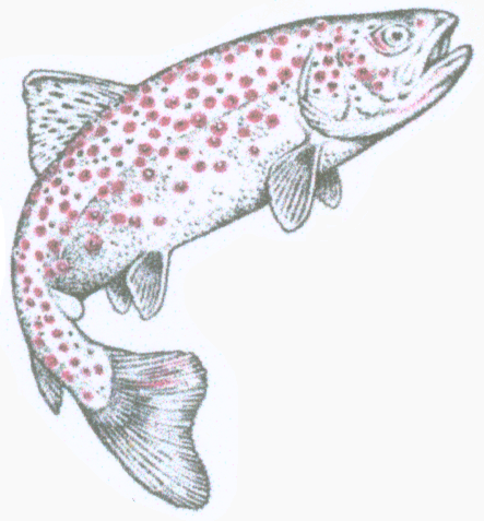 Hege- und Fischereiverein Weinstadt e.V.